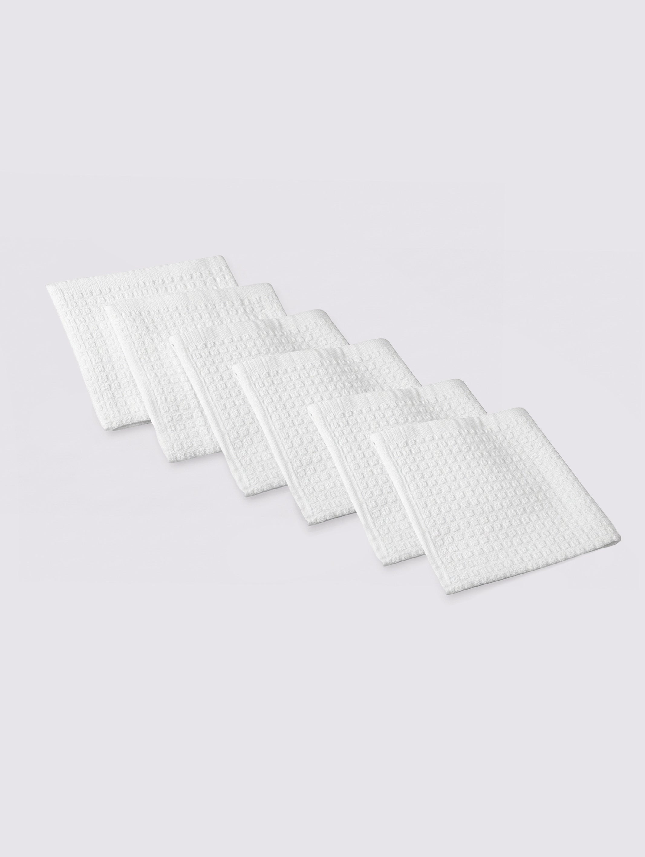 Dish Cloth (Pack of 6) - EDICL-5V1-77-6P