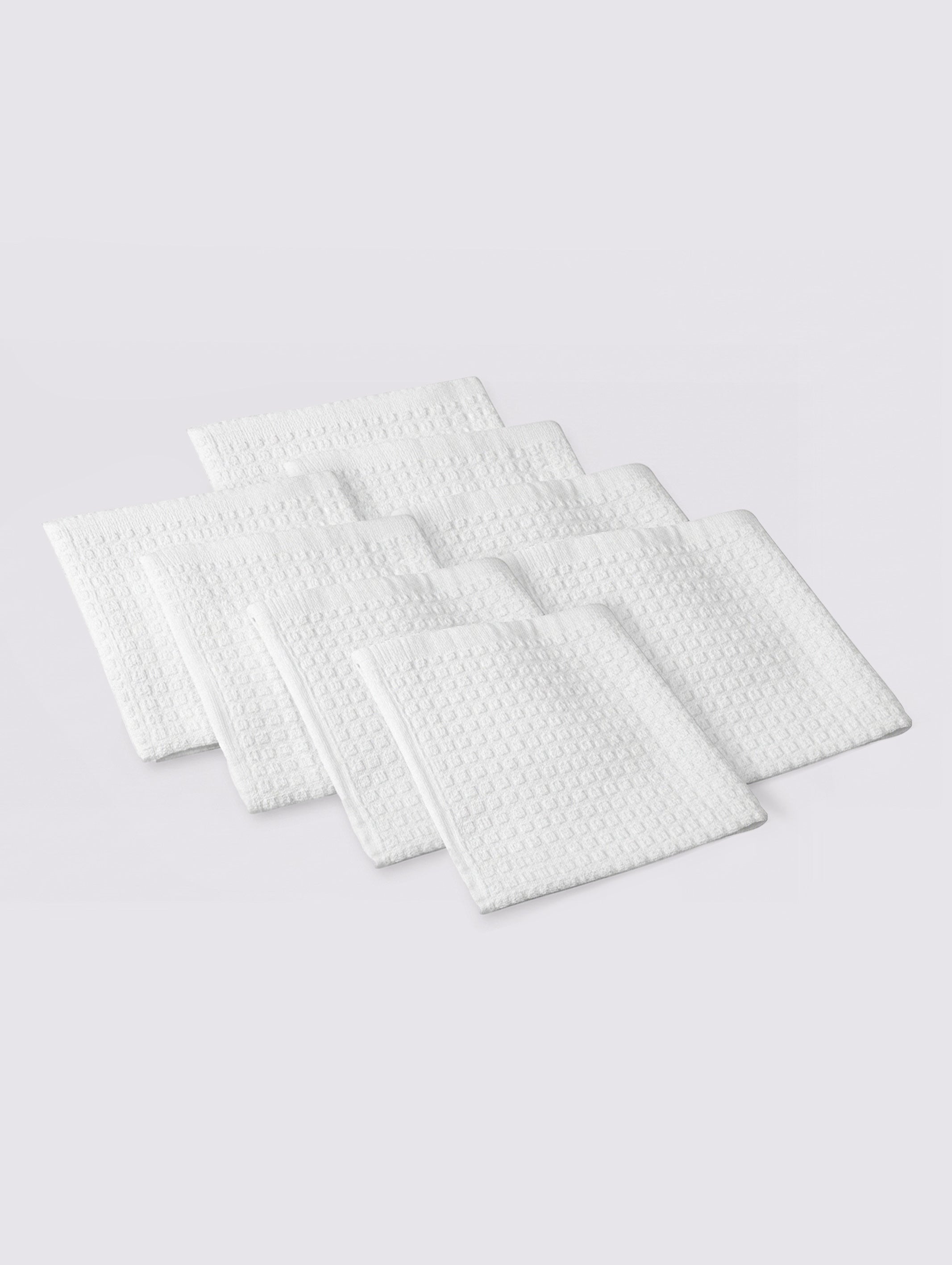Dish Cloth (Pack of 8) - EDICL-5V1-77-8P